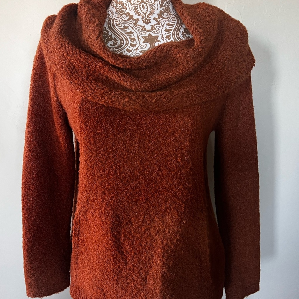 Beautiful, Angel of the North, Anthropologie sweater. Medium.